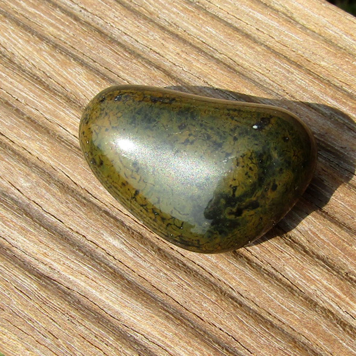 Keilförmiger Wallstein von der Rügener Küste – dunkelgrün mit senffarbener Textur