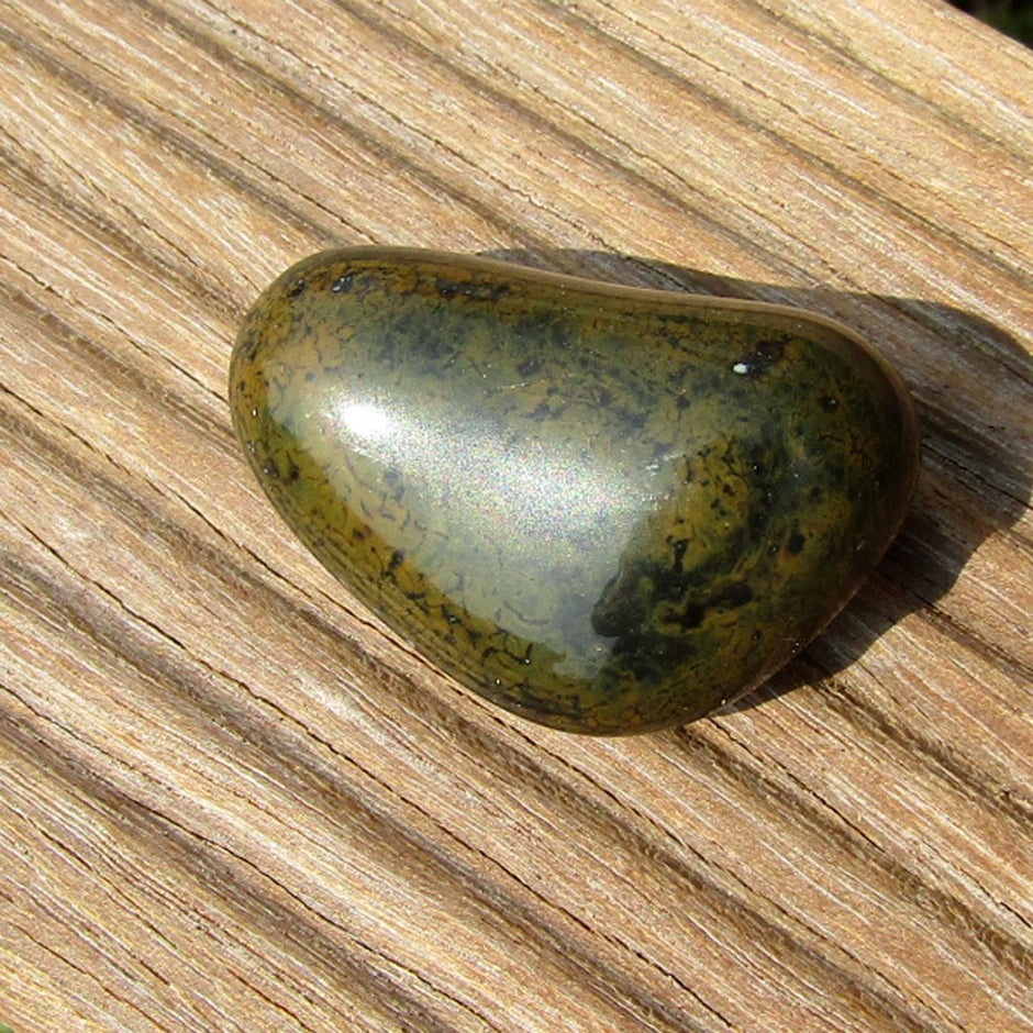 Keilförmiger Wallstein von der Rügener Küste – dunkelgrün mit senffarbener Textur