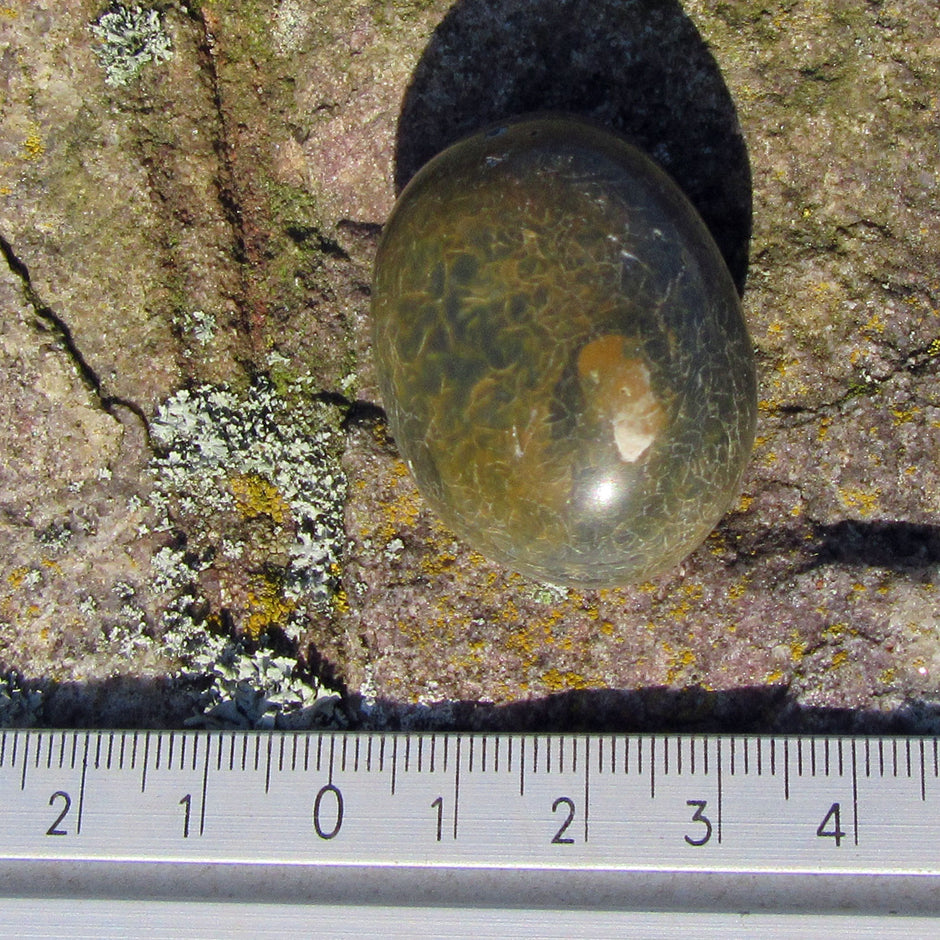 Ovaler, polierter Wallstein von der Rügener Küste – faszinierendes Farbspiel in Anthrazit, Braun und Grün