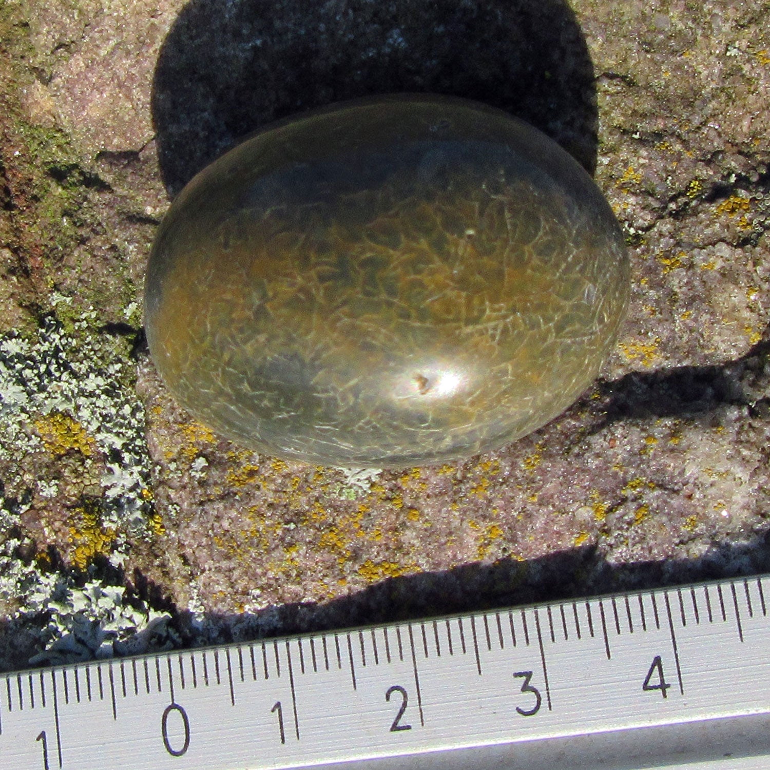 Ovaler, polierter Wallstein von der Rügener Küste – faszinierendes Farbspiel in Anthrazit, Braun und Grün