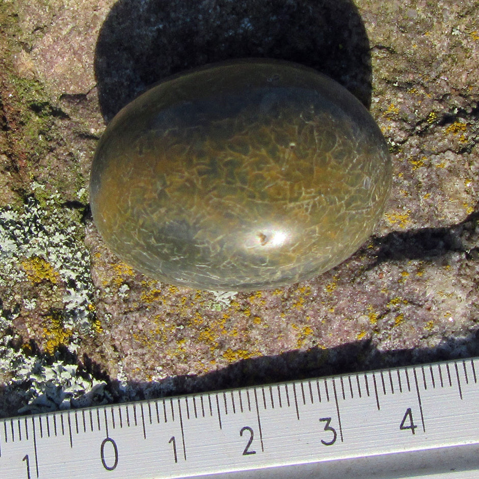 Ovaler, polierter Wallstein von der Rügener Küste – faszinierendes Farbspiel in Anthrazit, Braun und Grün