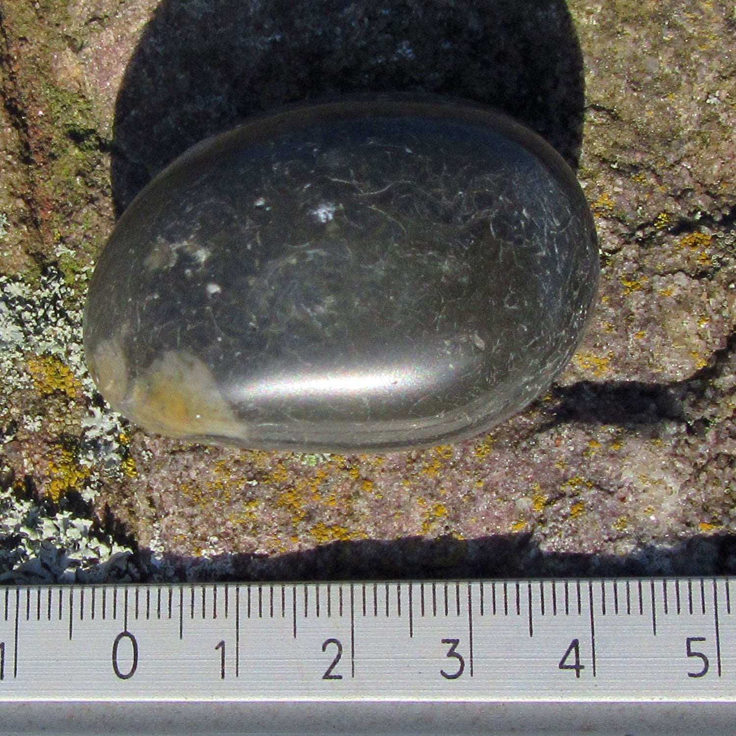 Polierter Wallstein von der Rügener Küste – anthrazit mit senffarbenem Akzent