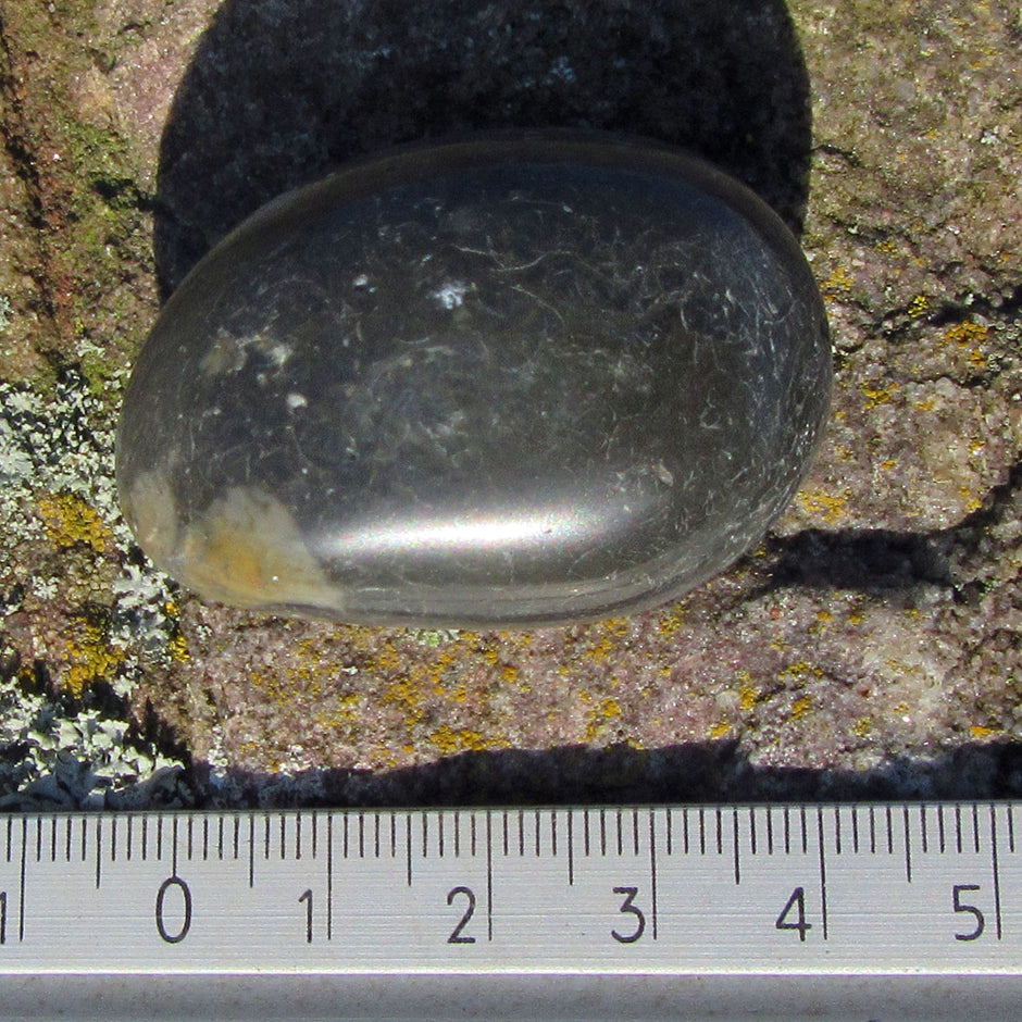 Polierter Wallstein von der Rügener Küste – anthrazit mit senffarbenem Akzent