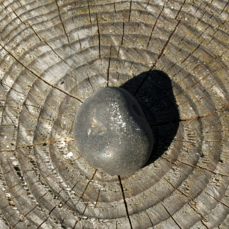 Unpolierter runder Wallstein von der Rügener Küste – natürlich & grautonig