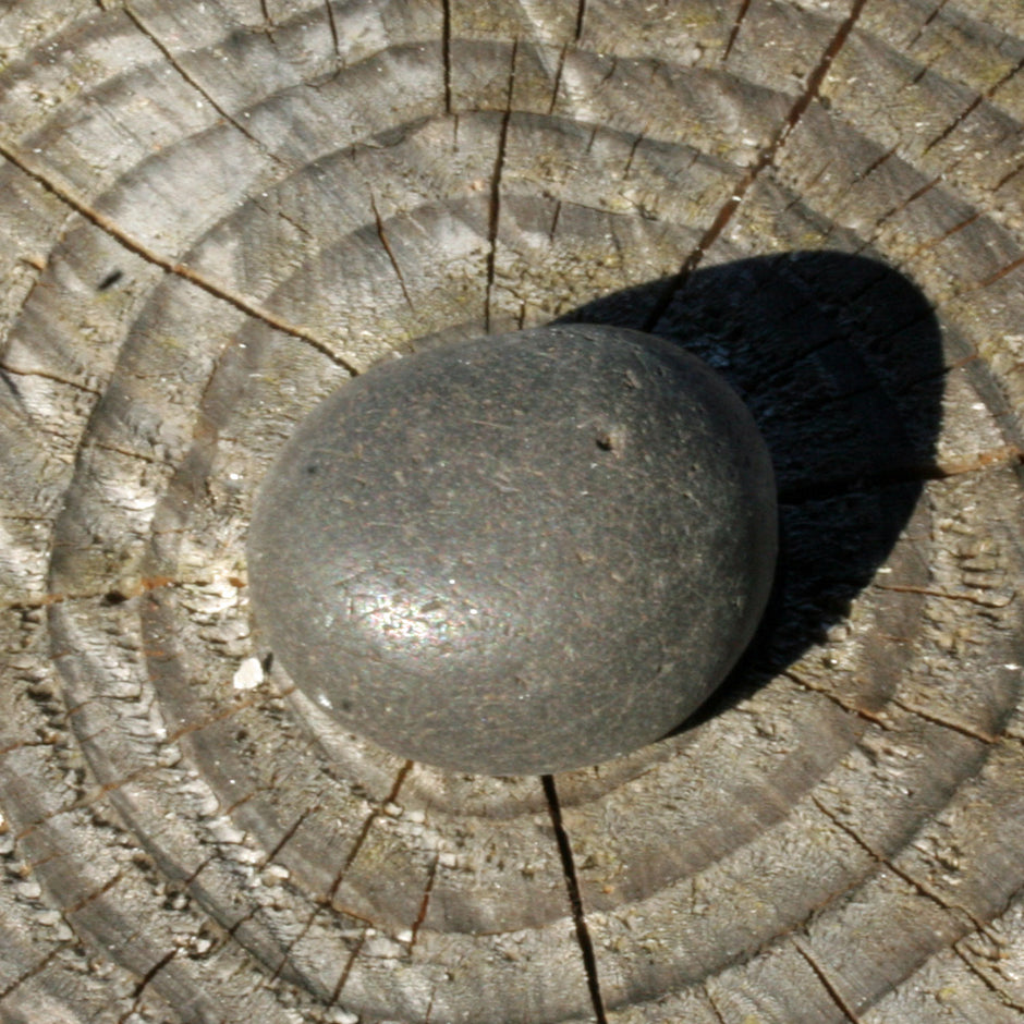 Unpolierter runder Wallstein von der Rügener Küste – natürlich & grautonig